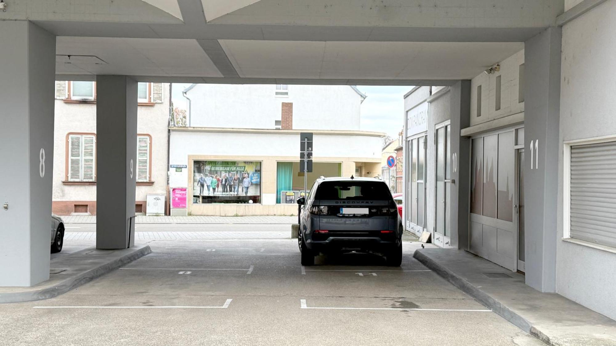 Dompanorama Der Kleine Dschungel Apartment Fuer 2-4 Pers Speyer Bagian luar foto